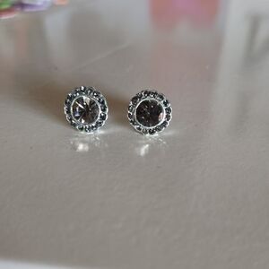 Elegant Silver Stud Earrings